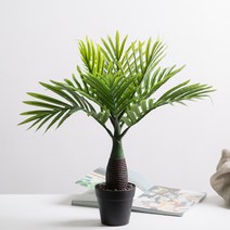 마쉬매리골드 인조나무 테이블 야자 48cm, 혼합색상, 1개