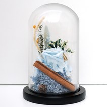 아침향기 프리저브드 플라워 롱 유리돔, 블루