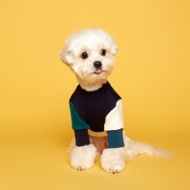 플로트 블록 맨투맨, 네이비아이보리