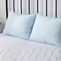 아모르온 유칼립투스 베개솜 2p, 블루