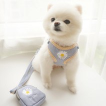 당감샵 소형견 데이지 하네스 가방 세트 S, 블루