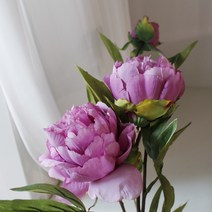 조화 인테리어 블룸 작약, 퍼플