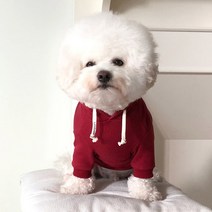 바이담수미 강아지 도톰기모후드, 와인