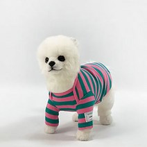 유앤펫 강아지 올데이 스트라이프 티셔츠, 핑크그린