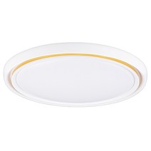 LED 골드써클 방등 50W, 화이트