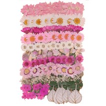 압화 공예 종합팩 K501 100p, 혼합색상, 1세트