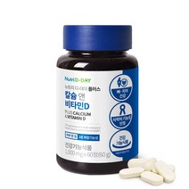 뉴트리디데이 플러스 칼슘 앤 비타민D 60g, 1개