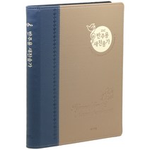 21C 반주용 새 찬송가 특대 (스프링/투톤블루), 아가페출판사