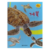 세밀화 자연관찰 31 거북 물에 사는 동물, 한국헤밍웨이
