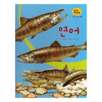 세밀화 자연관찰 33 연어 물에 사는 동물, 한국헤밍웨이