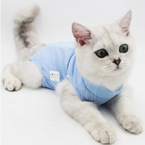켈리몰 반려동물 중성화 수술복, 스카이블루