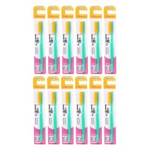 아미덴 대왕칫솔 골드모 랜덤발송, 1개입, 12개