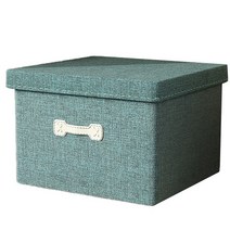 저스트 가정용 옷 수납보관함 중, 그린, 1개