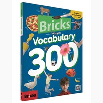 Bricks Vocabulary 300, 사회평론