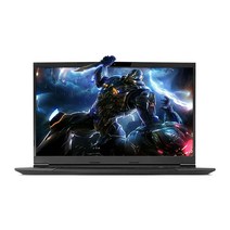 한성컴퓨터 2021 TFG 17.3, 블랙, 코어i7 11세대, 500GB, 16GB, WIN11 Home, TFG7175W