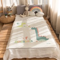 리에또 논슬립 방수요, 디노보이