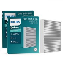 필립스 고퓨어 차량용 에어컨필터, D0131, 2개