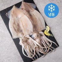 원양산 손질 오징어 (냉동), 800g, 1팩