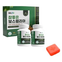참 좋은 보스웰리아 90정 x 2p + 알약 케이스 랜덤발송 세트, 1세트