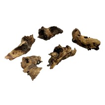 샘아쿠아 아프리카 모파니 유목 5p, 1개