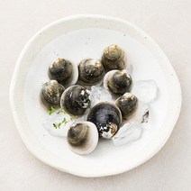 살맛나요 서해안 갯벌 모시조개 (냉장), 200g, 1개