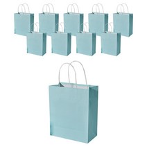 쉐어몰 파스텔컬러 종이가방 10p, 스카이