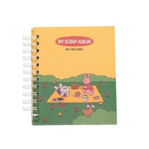 스프링 솔리드 사진 앨범, TYPE 11, 25매