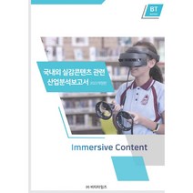국내외 실감콘텐츠관련 산업분석보고서(2022), 비피기술거래, 비티타임즈