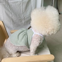 바이담수미 강아지 지지미 크롭 끈나시, 그린