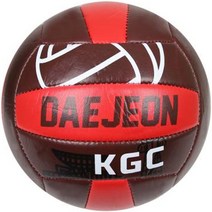 KGC인삼공사 DAEJEON 배구공