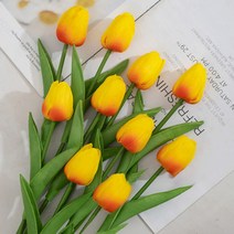 쏘앤영 소프트 튤립 조화 꽃다발 10p, 옐로우다홍