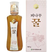 꿀500g피나무꿀 추천 인기 판매 TOP 순위