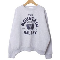 데하민 박시 프린팅 기모 맨투맨 cpt11014k2a