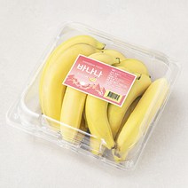 바나나낱개포장 싸게파는 상점에서 인기 상품의 가성비와 판매량 분석