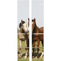 그린라이트 문 인테리어 시트지 2p, 6