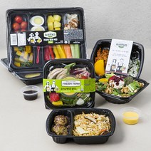 All바른농장 매일 새롭게 3DAY 푸짐한 샐러드 + 도시락 세트 1655g, 1세트