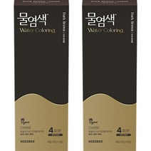 씨드비 프리미엄 물염색 시즌2 4회분, 다크브라운, 2개