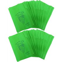 호미닷컴 샤인머스켓 봉지 100p, 2개