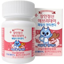 장인정신에브리데이 패밀리 자일리톨 덴티캔디, 30g, 1개