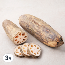 밀양 연근, 500g, 3개