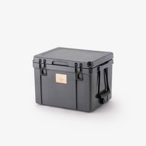 락앤락 핸들 하드 쿨러 25L LIC002, GRY(LIC002GRY), 1개