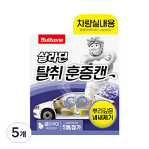 불스원 살라딘 차량 실내 탈취 훈증캔 쿨아쿠아향 본품, 64.4g, 5개