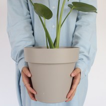 모리앤 베이직 원형 저면관수 화분, 그레이