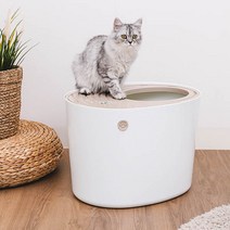 고양이대형화장실 판매 TOP20 가격 비교 및 구매평