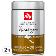 일리 니카라과 원두, 홀빈, 250g, 2개