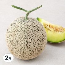 산지직송 좋은하루 후숙해서드리는 머스크메론, 1.6kg, 2개