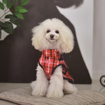 퍼피아 라이프 강아지용 벡스터 아웃도어 하네스 베스트, 오렌지