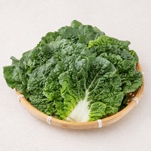 곰곰 국내산 쌈추, 200g, 1봉