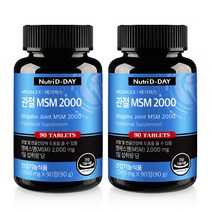 뉴트리디데이 메가 렉스 관절 MSM 2000, 2개, 90g