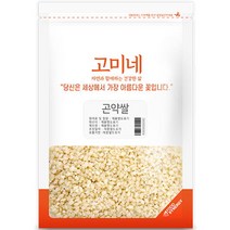 강황곤약쌀 TOP20으로 보는 인기 제품